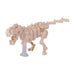 T-Rex Skeleton