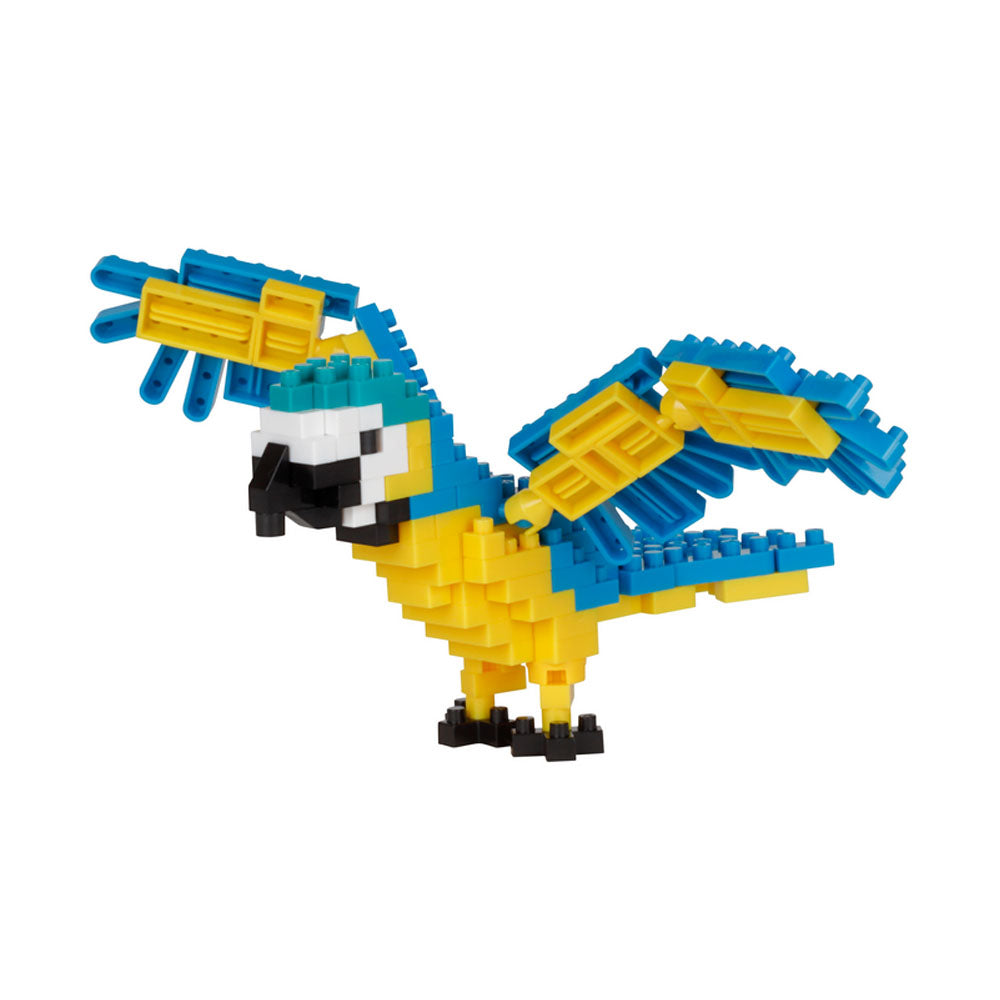 Blue and Yellow Macaw