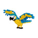 Blue and Yellow Macaw