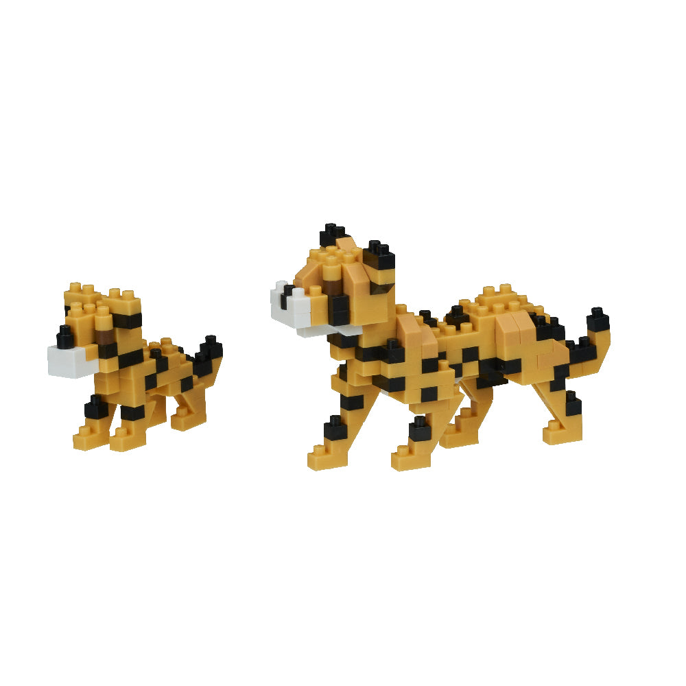 Cheetahs