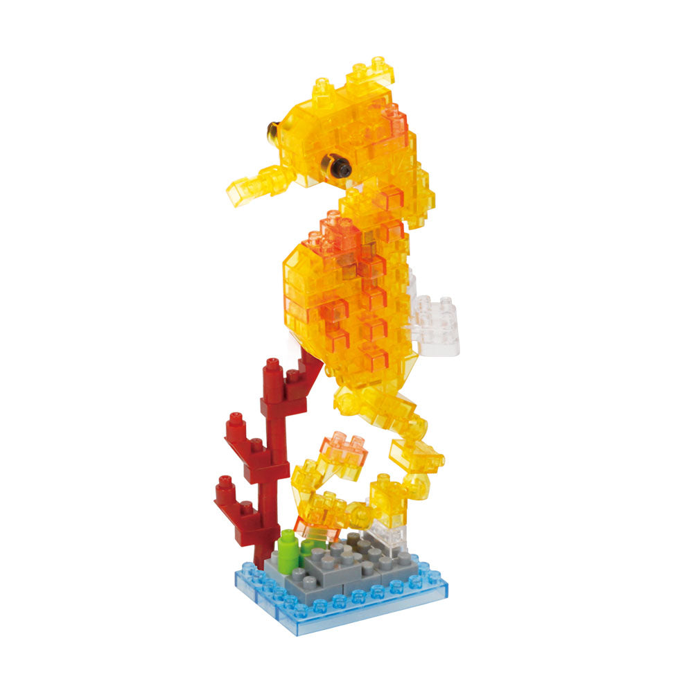 Seahorse