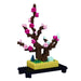Plum Bonsai