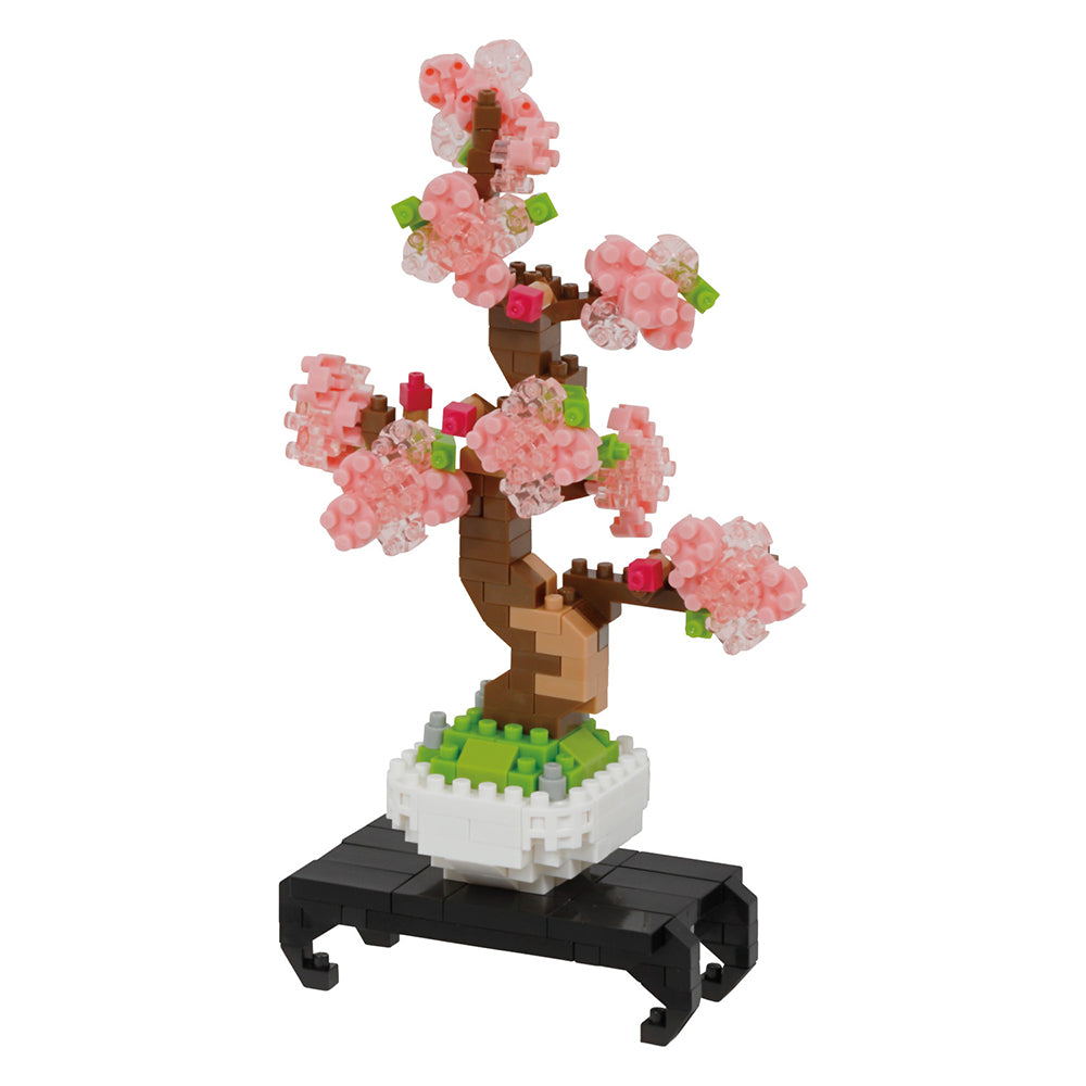 Bonsai Sakura