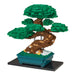 Deluxe Bonsai Matsu